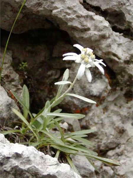 Nationalpark Risnjak 9